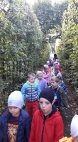 Zdjęcie: Jesień w parku w Trzebinach.