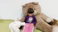 Zdjęcie: Święto Pluszowego Misia