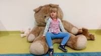 Zdjęcie: Święto Pluszowego Misia