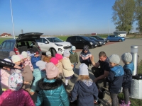 Zdjęcie: KROKUSY