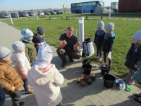 Zdjęcie: KROKUSY