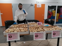 Zdjęcie: Podsumowanie akcji 