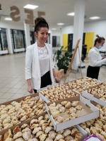 Zdjęcie: Podsumowanie akcji 