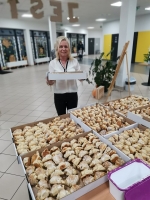 Zdjęcie: Podsumowanie akcji 