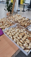Zdjęcie: Podsumowanie akcji 