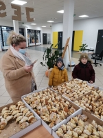 Zdjęcie: Podsumowanie akcji 