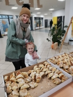 Zdjęcie: Podsumowanie akcji 