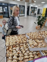 Zdjęcie: Podsumowanie akcji 