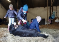 Zdjęcie: Z wizytą w gospodarstwie agroturystycznym-