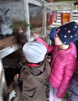 Zdjęcie: Z wizytą w gospodarstwie agroturystycznym-