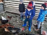 Zdjęcie: Z wizytą w gospodarstwie agroturystycznym-