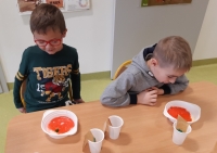 Zdjęcie: Zabawy badawcze-