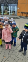 Zdjęcie: SADZIMY KROKUSY