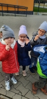 Zdjęcie: SADZIMY KROKUSY