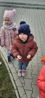 Zdjęcie: SADZIMY KROKUSY