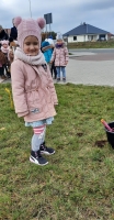 Zdjęcie: SADZIMY KROKUSY