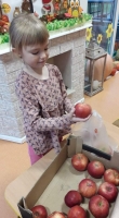 Zdjęcie: Akcja Jabłuszko.