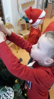 Zdjęcie: Choinka