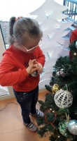 Zdjęcie: Choinka
