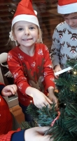 Zdjęcie: Choinka