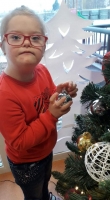Zdjęcie: Choinka