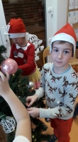 Zdjęcie: Choinka