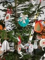 Zdjęcie: 7.12.2021.