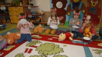 Zdjęcie: ŚWIĘTO PLUSZOWEGO MISIA