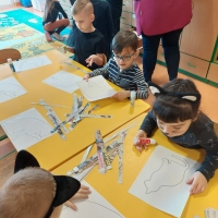 Zdjęcie: Dzień Kota