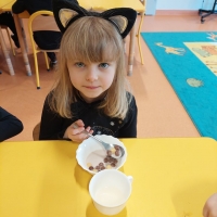 Zdjęcie: Dzień Kota
