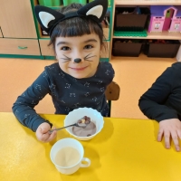 Zdjęcie: Dzień Kota