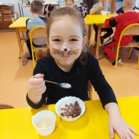 Zdjęcie: Dzień Kota