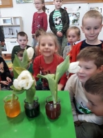 Zdjęcie: Nasze doświadczenia.