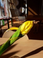Zdjęcie: Nasze doświadczenia.
