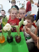 Zdjęcie: Nasze doświadczenia.