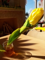 Zdjęcie: Nasze doświadczenia.
