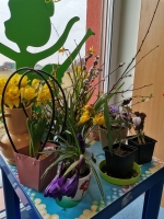 Zdjęcie: 18.03.2022.