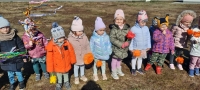 Zdjęcie: WITAJ WIOSNO !