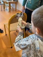Zdjęcie: Skąd się bierze mleko?