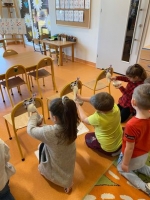Zdjęcie: Skąd się bierze mleko?