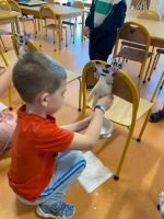 Zdjęcie: Skąd się bierze mleko?