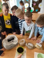Zdjęcie: Hodowla zbóż.