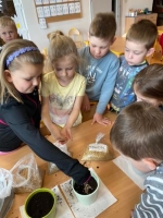 Zdjęcie: Hodowla zbóż.