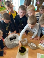 Zdjęcie: Hodowla zbóż.