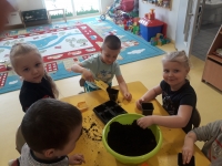 Zdjęcie: OGRÓDEK W SALI