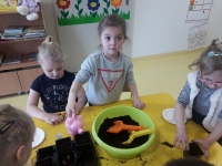 Zdjęcie: OGRÓDEK W SALI