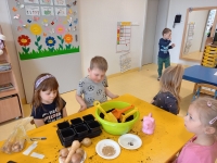 Zdjęcie: OGRÓDEK W SALI