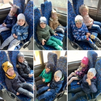 Zdjęcie: Szukamy koszyczków