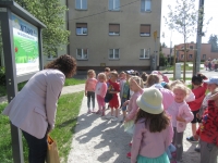 Zdjęcie: ŚCIEŻKA EKOLOGICZNA