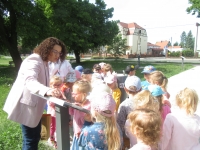 Zdjęcie: ŚCIEŻKA EKOLOGICZNA